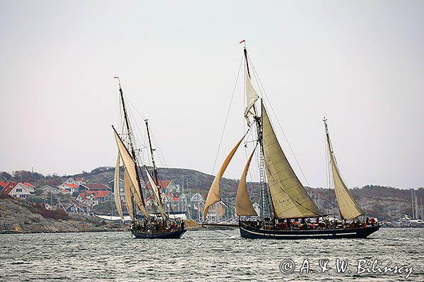 żaglowce przy wyspie Kallo Knippla, Szwecja Zachodnia, Kattegat