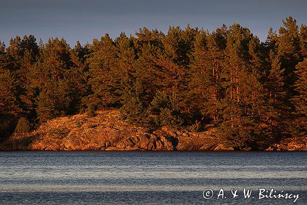 Wyspa Karo, Zatoka Kungshamn, Szwecja