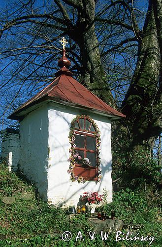 Kapliczka w Kiełczawie, Góry Słonne
