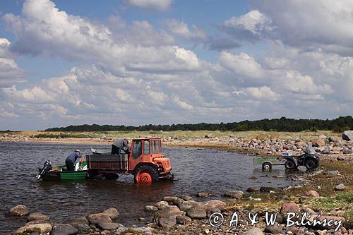 przeładunek złowionej ryby, wyspa Kihnu, Estonia, fisherman, Kihnu Island, Estonia