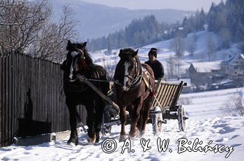 Korbielów