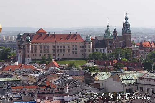 Cracow widok z Wieży Kościoła Mariackiego na Wawel