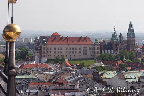 Cracow widok z Wieży Kościoła Mariackiego na Wawel