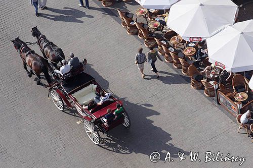 Cracow Rynek Starego Miasta, dorożka, widok z Wieży Mariackiej