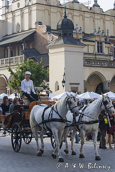 Kraków, Rynek Starego Miasta, dorożka