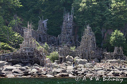 Nimis, Ladonia, półwysep Kullen, Szwecja, Skania, Sund