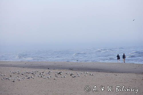 plaża w Łebie