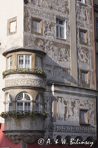 Legnica, dom pod przepiórczym koszem