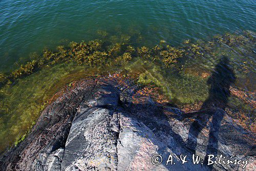 Lilla Tvasack, archipelag Gryt, Szwecja