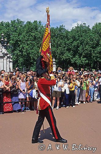 Parada przed Buckingham Palace, Londyn, Anglia