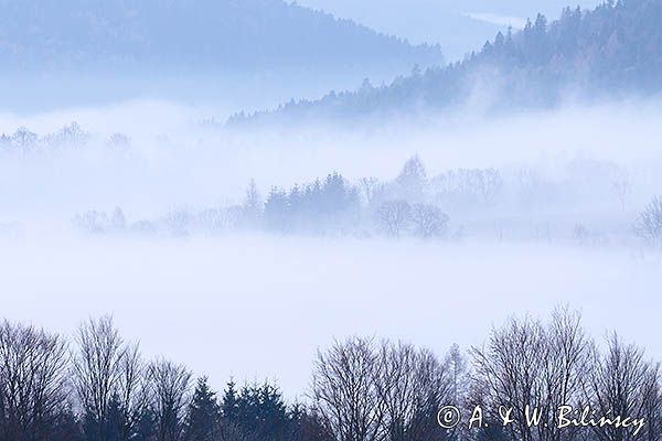 Świtowe mgły w okolicy Lutowisk, Bieszczady