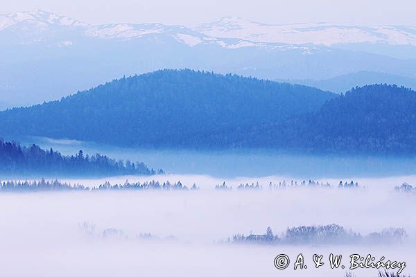 Świtowe mgły w okolicy Lutowisk, Bieszczady