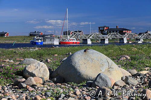 Malören - Safran przy pomoście (by the pier) Malören, Bałtyk, Zatoka Botnicka, Szwecja. Baltic, Gulf of Bothnia, Sweden,