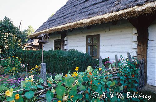 Markowa skansen, chata kmieca, / okolice Przeworska/ Muzeum Wsi Markowa, Rzeszowszczyzna, Podkarpacie, Kotlina Sandomierska