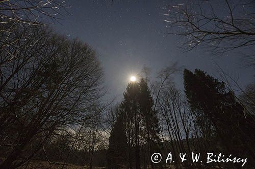 Gwiezdne niebo, nocny pejzaż w świetle Księżyca, Bieszczady