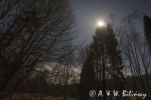 Gwiezdne niebo, nocny pejzaż w świetle Księżyca, Bieszczady