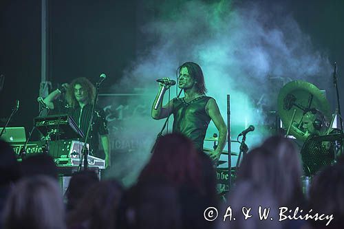 Michał Stawiński, Oberschlesien, koncert, V RoCK Festival 2015, Kołobrzeg