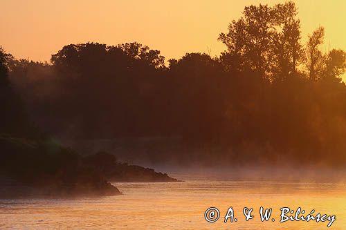 świt nad rzeką koło Malczyc, rzeka OdraOder river, Poland