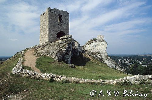 Olsztyn ruiny zamku Jura Krakowsko-Częstochowska, Szlak Orlich Gniazd