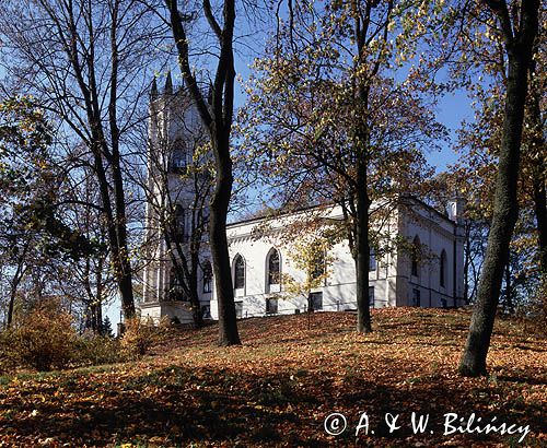 Opinogóra Zamek