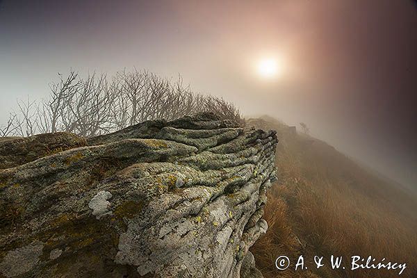 Na Osadzkim Wierchu, Bieszczady, Bieszczadzki Park Narodowy