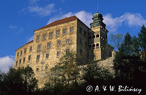 zamek Pieskowa Skała Ojcowski Park Narodowy