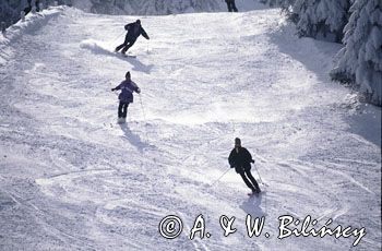 na Pilsku
