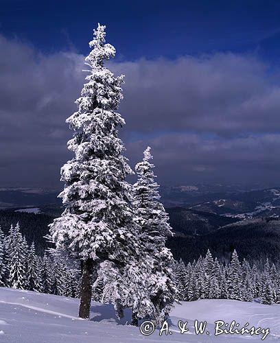 na Hali Miziowej Pilsko Beskid Zywiecki