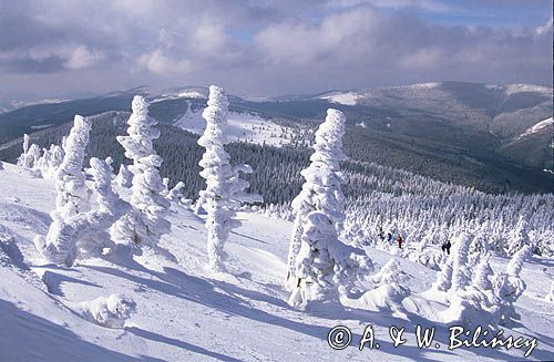 Pilsko, Beskid żywiecki