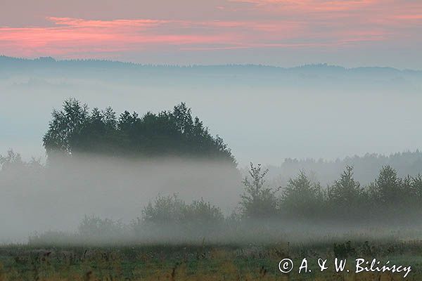 Świt, Pogórze Dynowskie