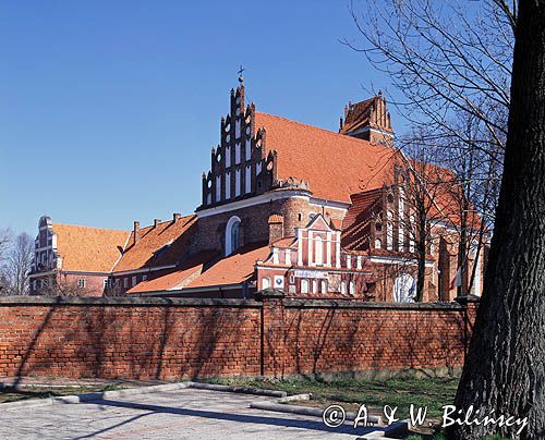Przasnysz, kościół i klasztor ojców Pasionistów, Sanktuarium M.B Niepokalanej