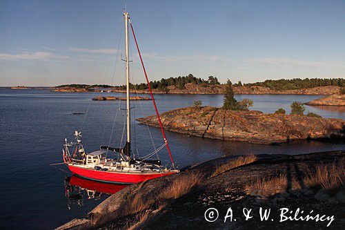 Safran przy Ragholmen w archipelagu Laxvarp, Archipelag Gryt, szwedzkie szkiery, Szwecja