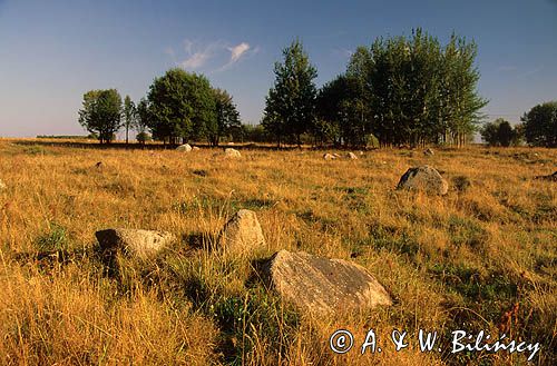 Rezerwat Głazowisko Rutka Suwalski Park Krajobrazowy