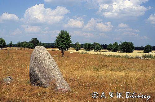Rezerwat Głazowisko Suwalski Park Krajobrazowy