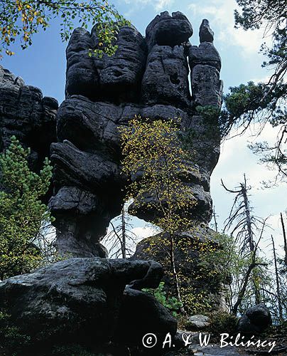 Rezerwat Szczeliniec Park Narodowy Gór Stołowych