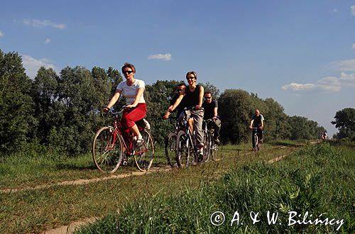 rowerzyści