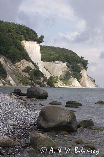 kredowe klify na wyspie Rugia, Park Narodowy Jasmund, Niemcy