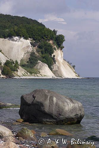 kredowe klify na wyspie Rugia, Park Narodowy Jasmund, Niemcy