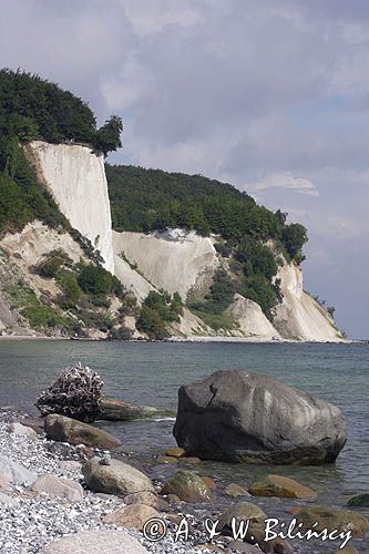 kredowe klify na wyspie Rugia, Park Narodowy Jasmund, Niemcy
