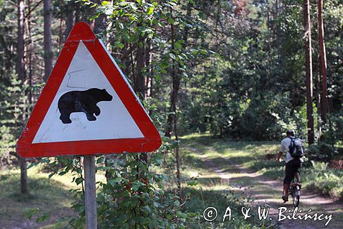 znak w lesie Uwaga niedźwiedź, wyspa Ruhnu, Estonia Ruhnu Island, Estonia