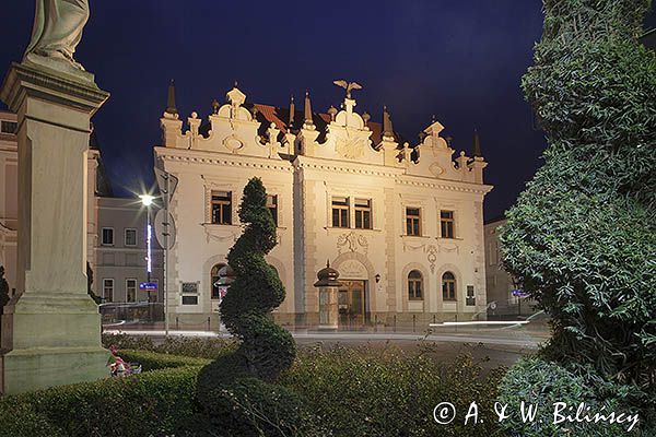 Rzeszów, Teatr im. Wandy Siemaszkowej