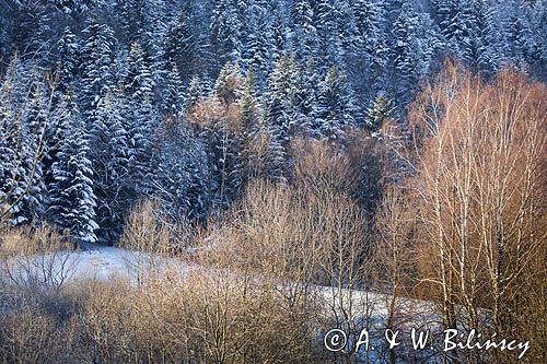 Krajobraz w pierwszych promieniach słońca, Bieszczady