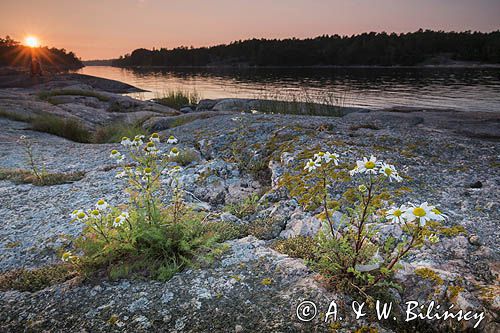 Sjalglo Udden, Archipelag Turku, Szkiery Fińskie, Finlandia