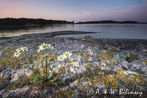 Sjalglo Udden, Archipelag Turku, Szkiery Fińskie, Finlandia