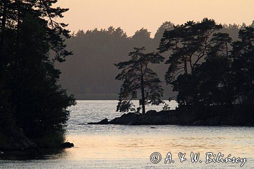 W szkierach przy wyspie Slipholmen, szwedzkie szkiery koło Loftahammar, Szwecja