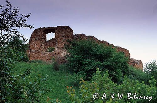 Sochaczew ruiny zamku