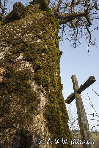 Krzyż na cerkwisku, Sokołowa Wola, Bieszczady
