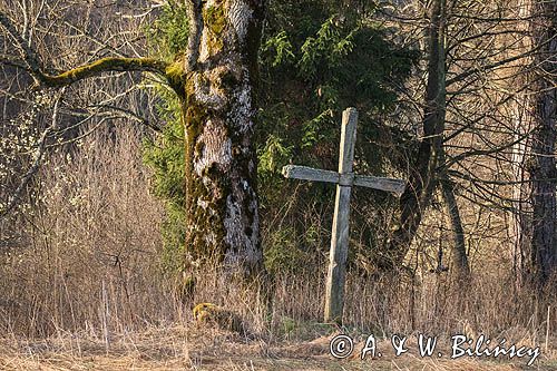 Krzyż na starym cmentarzu, Sokołowa Wola, Bieszczady