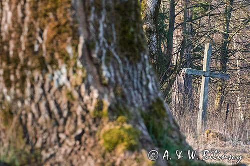 Krzyż na starym cmentarzu, Sokołowa Wola, Bieszczady