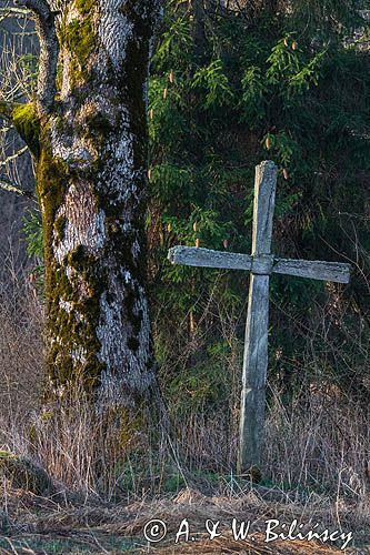Krzyż na starym cmentarzu, Sokołowa Wola, Bieszczady